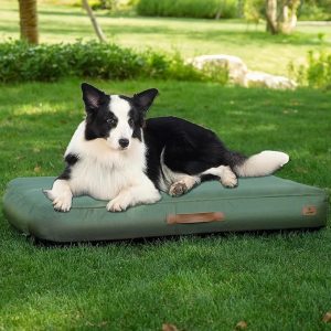 Inflatable Waterproof Dog Travel Mat – Green, L